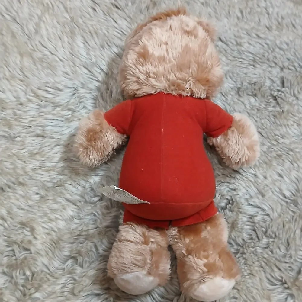Vintage Teddy Ruxpin Bear Plush 14